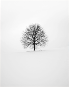 Alt text example image 2